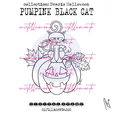 SVARIO: PUMPKIN BLACK CAT